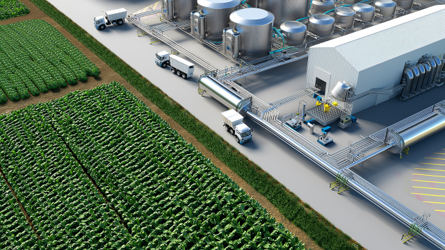 alt China stevia competitive advantage