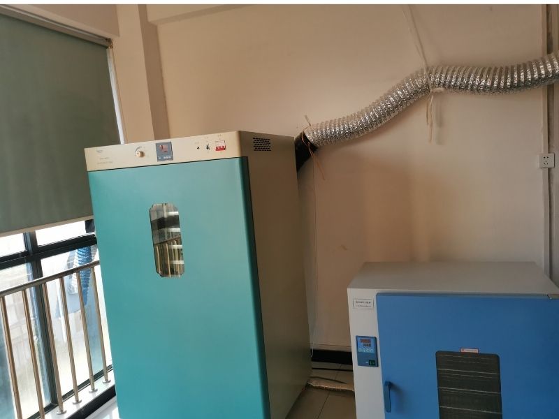 Centella Asiatica Powder