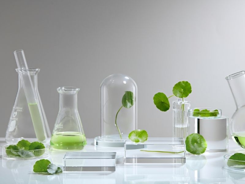 Green Extraction Technology