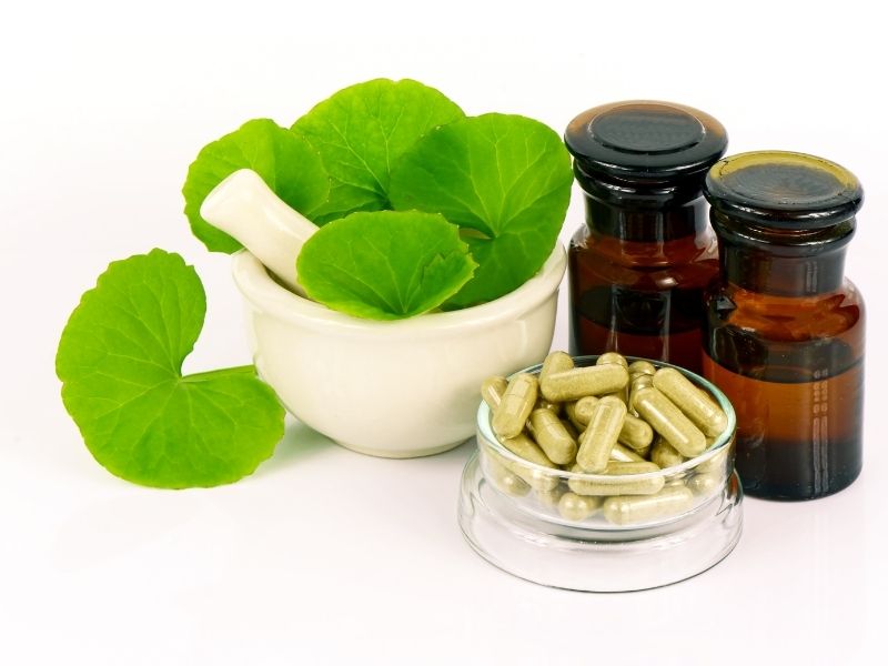 Immune regulation and anti-fatigue (health benefits)