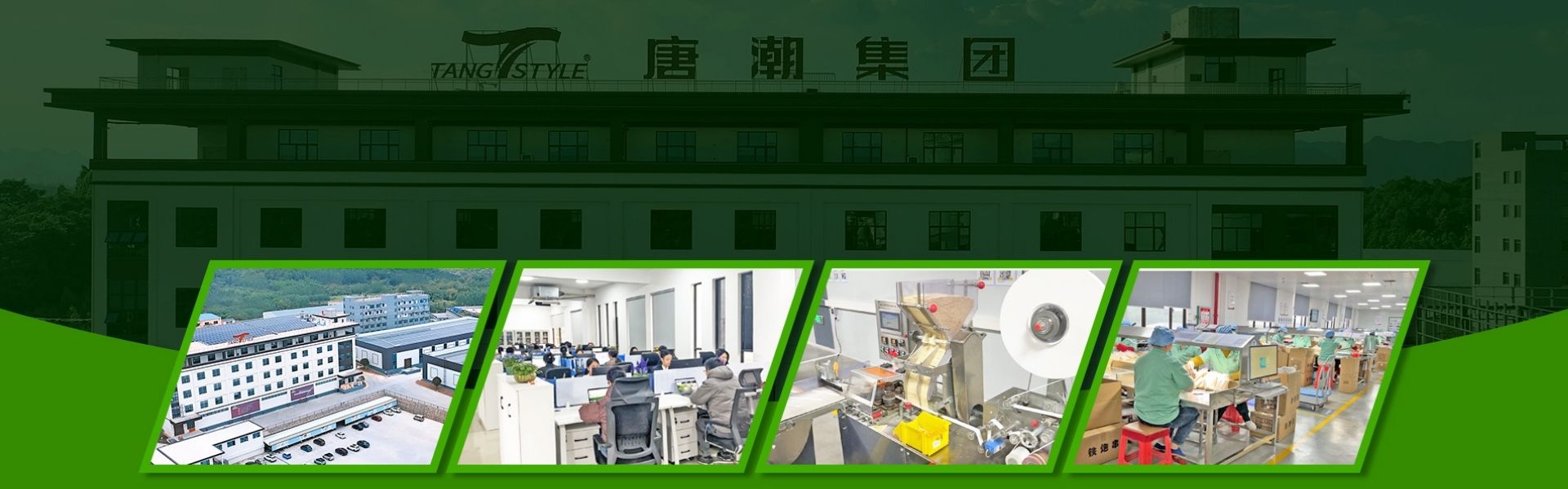 Premium Monk Fruit Extract Production Scale